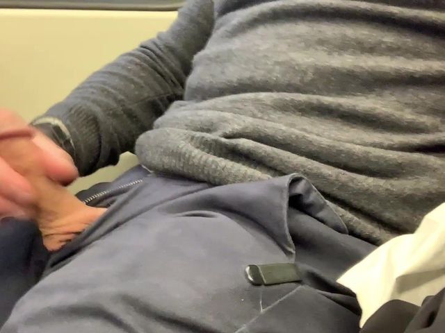 Jerking off My Hard Cock in Outdoor and Cumming on the Train (Tjenner)