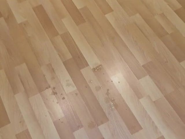 Massive Cunshot Sprays Bedroom Floor (Big Shot John)