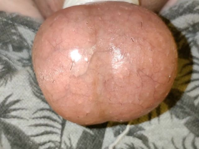 Hard Thick Uncut Cock and Tied Balls - Part Ii (Idmir Sugary)